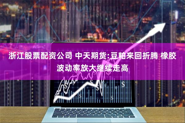 浙江股票配资公司 中天期货:豆粕来回折腾 橡胶波动率放大继续走高