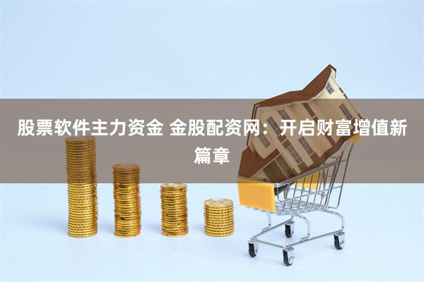 股票软件主力资金 金股配资网：开启财富增值新篇章