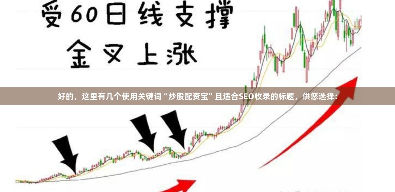 好的，这里有几个使用关键词“炒股配资宝”且适合SEO收录的标题，供您选择：