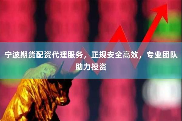 宁波期货配资代理服务，正规安全高效，专业团队助力投资